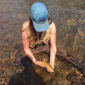 Meet your Posher, Alex